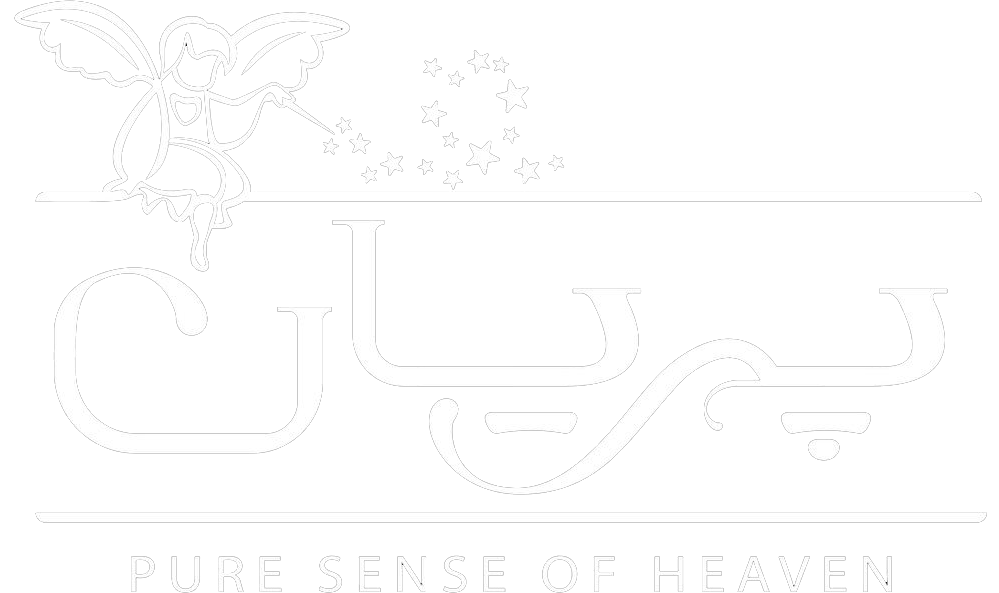 Alefox HTML Template